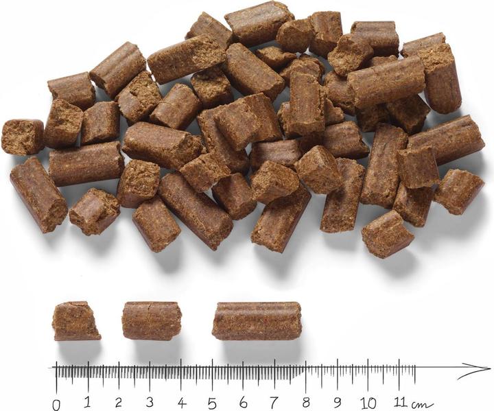 Produktbild Markus Mühle Rotwild Hirsch (Adult, 1 Stk., 15000 g)