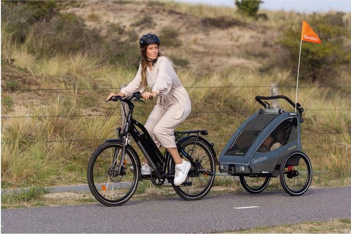 Actual product image Qeridoo Sportrex 1 Limited Edition Jeans Blue children's bike trailer