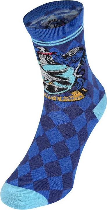 Ravenclaw House Socken