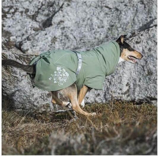 Actual product image Hurtta Extreme warm ECO hedge Gr.45 (45, Dog coat)