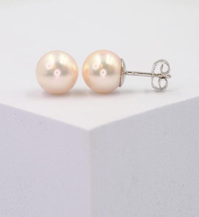 Actual product image Muau Stud earrings (750 Akoya pearl)