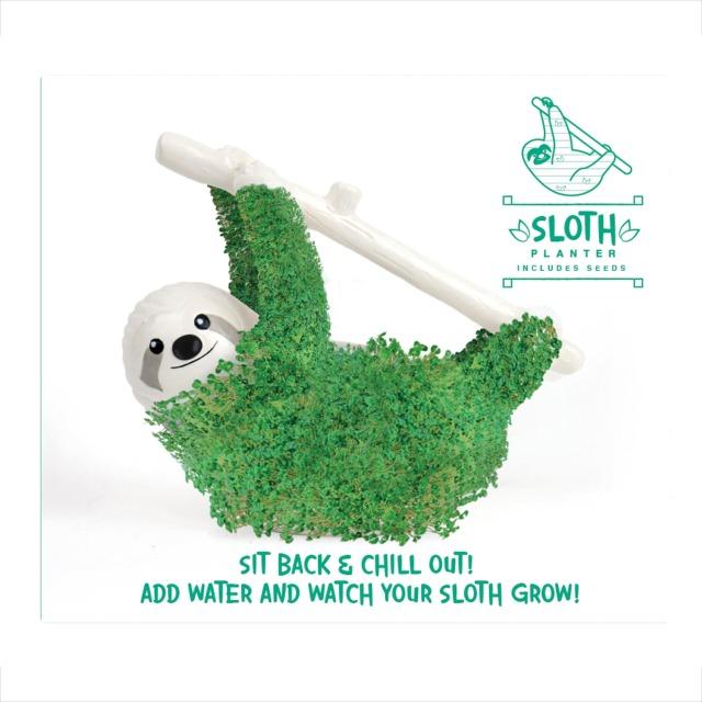 Actual product image TOP Chia sloth