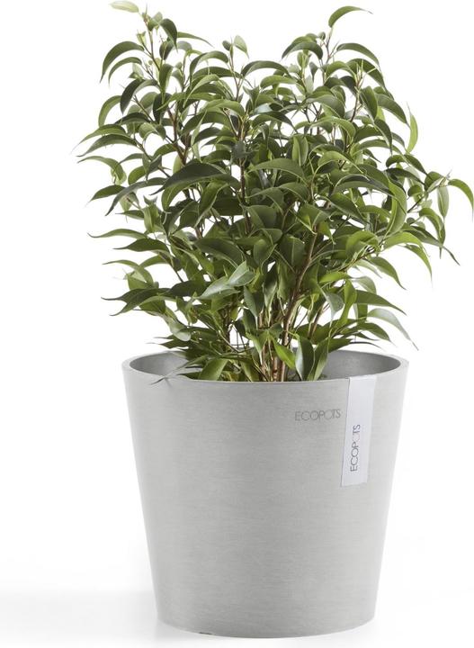 Immagine prodotto Ecopots Amsterdam Mini (17 cm)