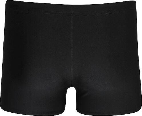 Produktbild Speedo Medley Logo Aquashort (40)