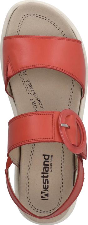 Immagine prodotto Westland 25408-409 (40)