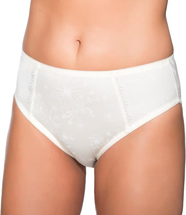Actual product image Ulla Viola briefs (52, 6XL, Single pack)