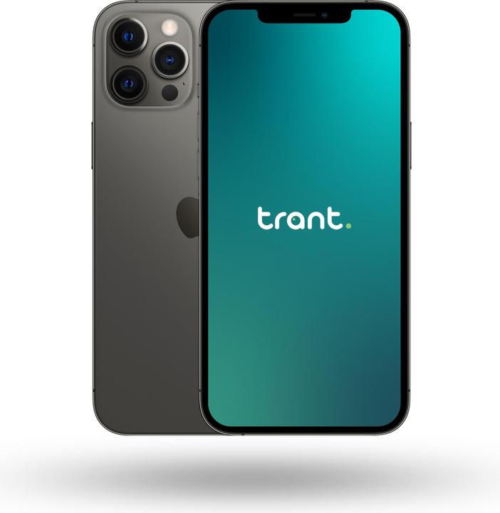 Trant.ch iPhone 12 Pro Max (256 GB, Graphites, 6.70", SIM + eSIM, A / Like new)