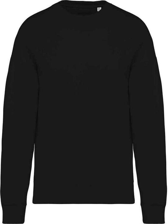 Actual product image Native Spirit Sweatshirt Oversized (XS)