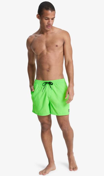 Actual product image Quiksilver Everyday Solid Volley (M)