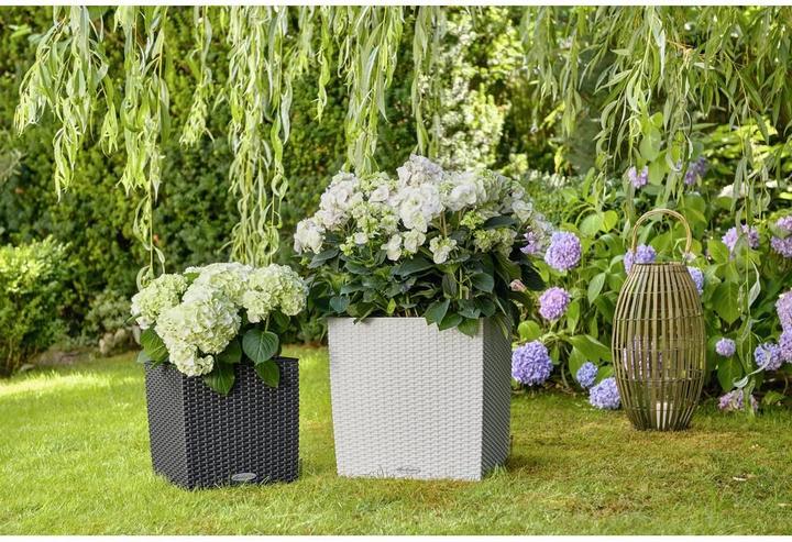 Image du produit Lechuza Cube Cottage (29.50 cm)