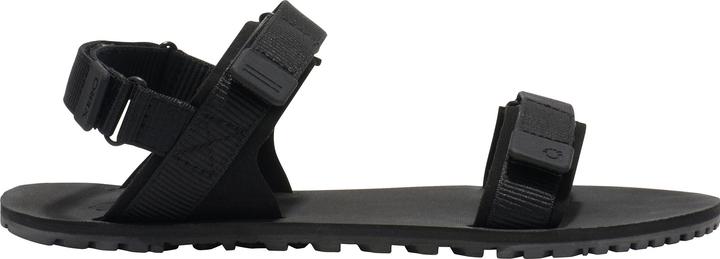 Black / Asphalt