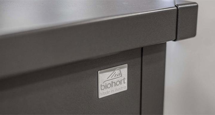 Immagine prodotto Biohort FreizeitBox 160, grigio scuro metallizzato