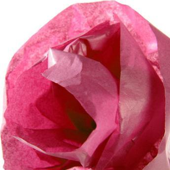 Immagine prodotto Canson Rotolo di carta velina, 0,5 x 5,0 m, 20 g/m², rosa pastello (20 g/m², 1 x)