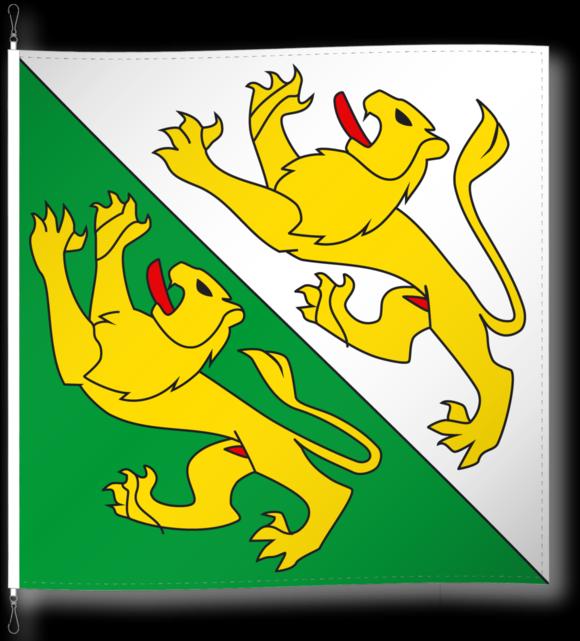 Produktbild Alpenfahnen Thurgau