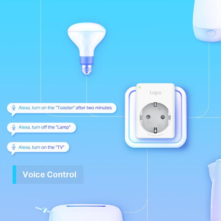 Actual product image TP-Link Tapo P100