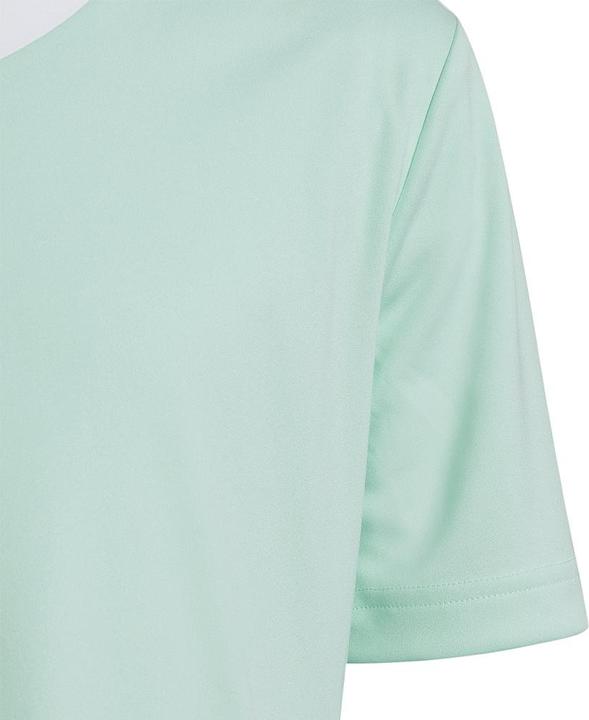 Image du produit adidas Maillot Entrada 22 (128)