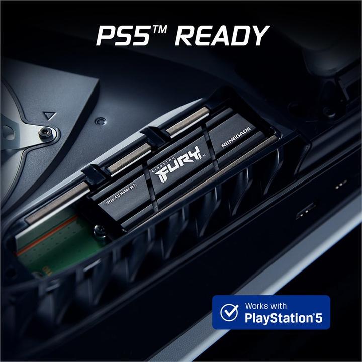 Actual product image Kingston FURY Renegade with Heatsink (1000 GB, M.2 2280)