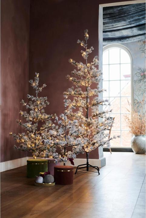 Image du produit Sirius Alfi (180 cm)