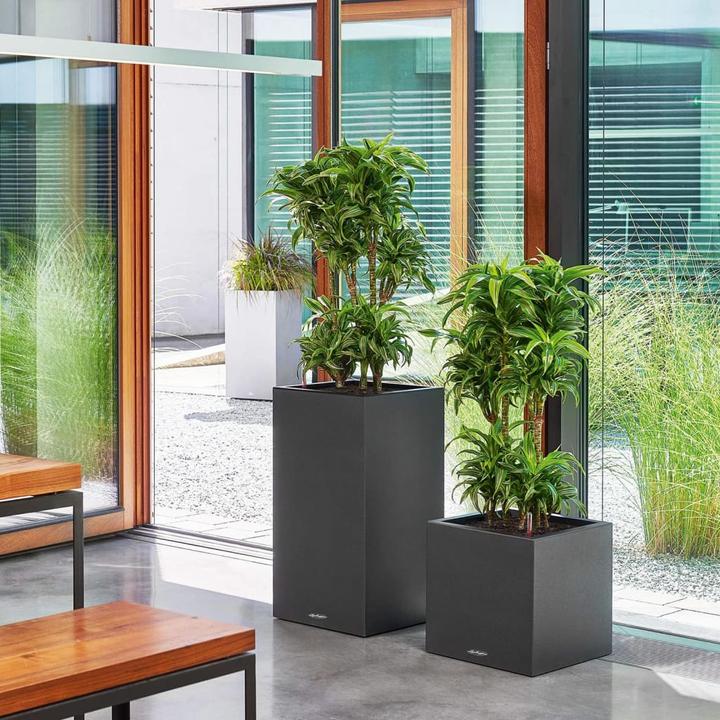 Image du produit Lechuza Canto Stone (40 cm)