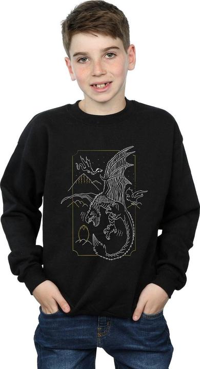 Immagine prodotto Dragon Line Art Felpa Ragazzi (140, 146)