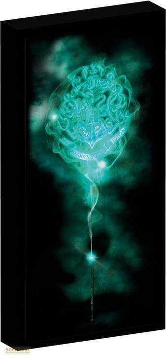Actual product image Canvas with 6 LED lights (20 x 40 cm)
