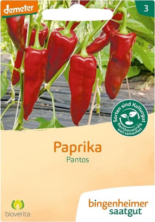 Produktbild Bingenheimer Saatgut Paprika Pantos (Keimlinge)