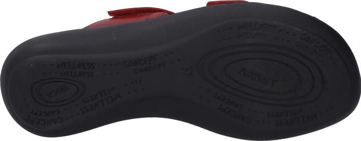 Image du produit Westland 16775-84 (44)