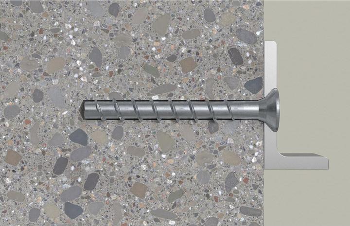 Immagine prodotto Fischer 558229 (50 pz.)