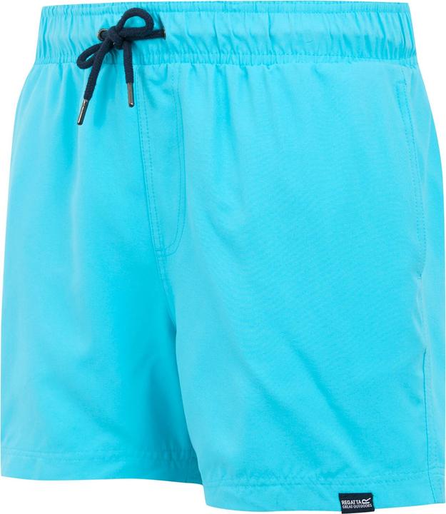Actual product image Regatta Mens Mawson II Swim Shorts (XL)