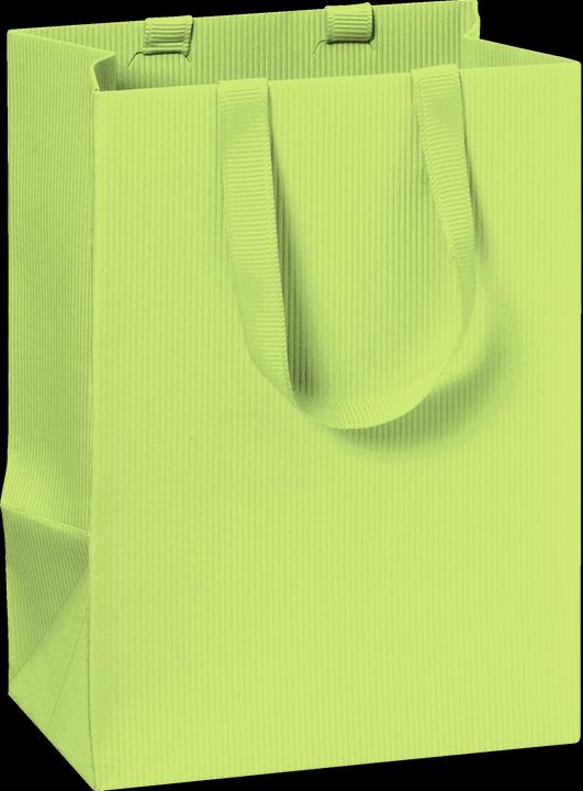 Actual product image Stewo Gift Bag 10x8x14 One Colour green light (Gift bag, 1 x)
