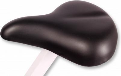 Immagine prodotto Sportplus X-Bike magnetica