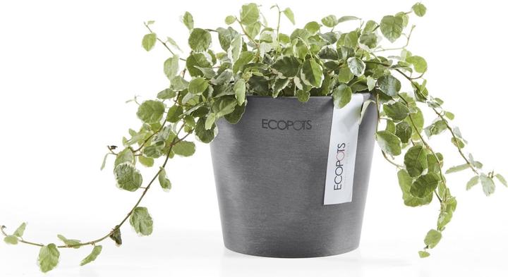 Image du produit Ecopots Amsterdam Mini (10.50 cm)