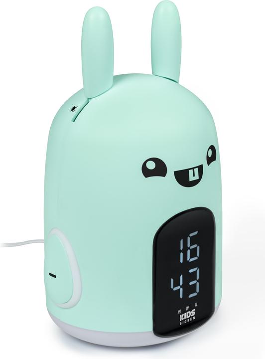 Bigben Rabbit