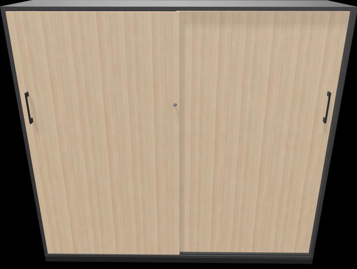 Immagine prodotto Narbutas Scelta armadio ad ante scorrevoli (160 x 40 x 146,5 cm)