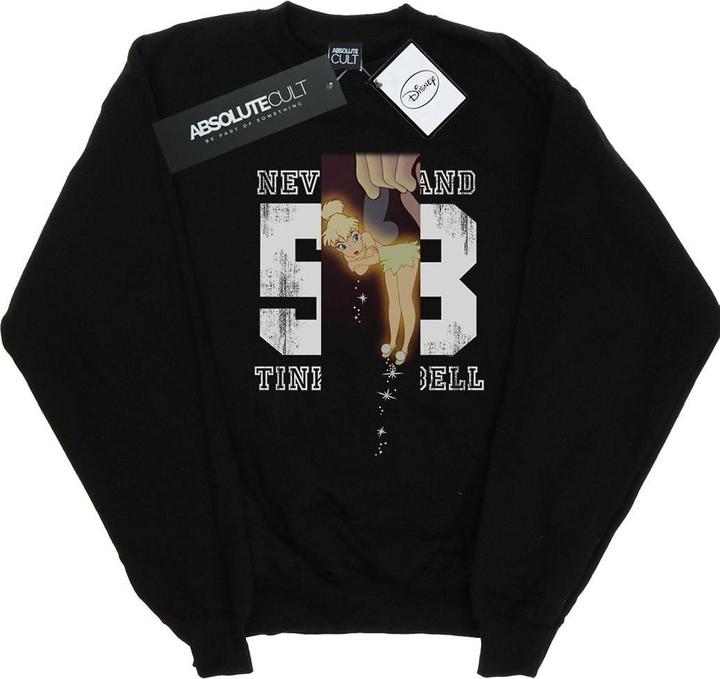 Produktbild Disney Tinker Bell Neverland 53 Sweatshirt Jungen (152, 158)