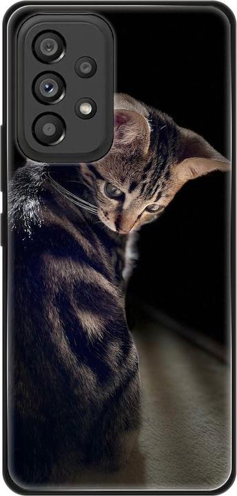 Junge Katze
