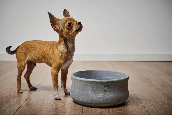Actual product image Laboni Rocky Jr. (1.50 l)