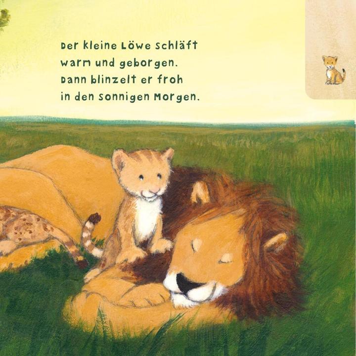 Actual product image Baby Pixi (unkaputtbar) 104: Der kleine Löwe (German, Susanne Lütje, 2021)