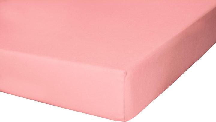 Actual product image Buona Notte Jersey Spandex Fitted Sheet (140-160 x 200-220 cm)