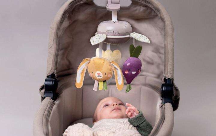 Produktbild Taf Toys TAF Garden - Take Along Mobile (259-13275)