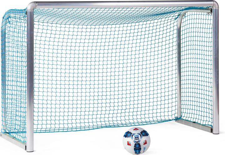 Sport-Thieme Mini-Trainingstor Protection