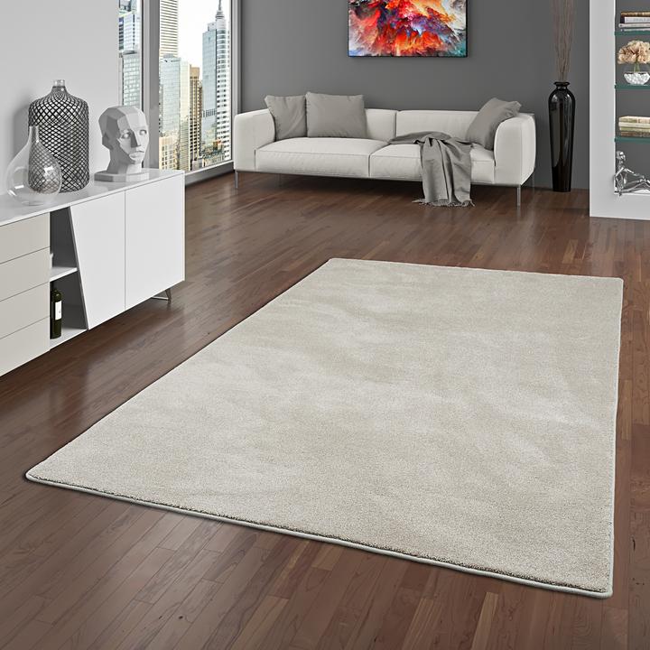 Produktbild Snapstyle Hochflor Luxus Velours Teppich Touch (80 x 320 cm)