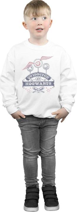 Actual product image Boys Quidditch At Hogwarts Sweatshirt (140, 146)