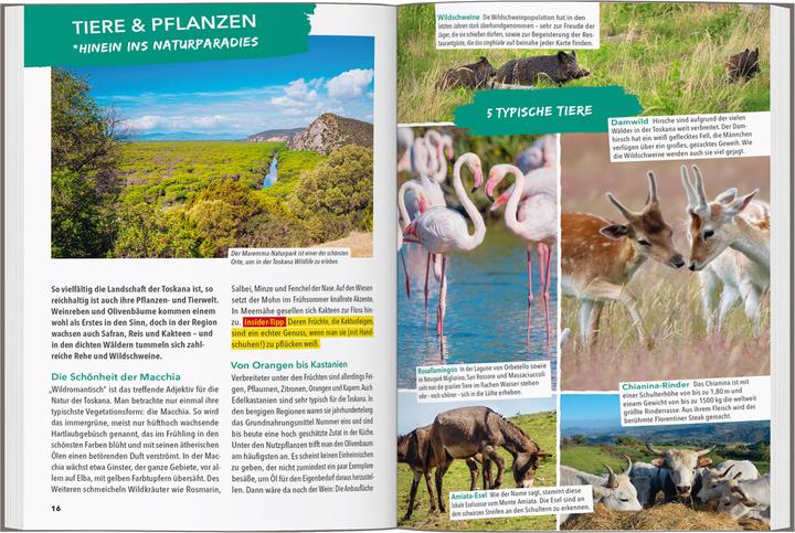 Produktbild OUTDOOR GUIDE Reiseführer Toskana