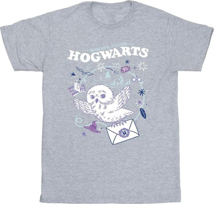 Actual product image Mens Owl Letter From Hogwarts T-Shirt (XL)