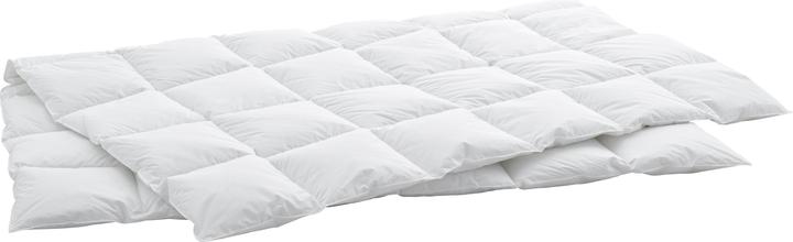 Produktbild Swiss Dream by billerbeck Cassette Classic 90 (650 g, 160 x 210 cm)