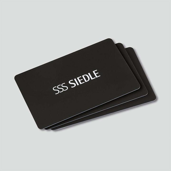 Actual product image Siedle EKC600-0/03 (Key card)