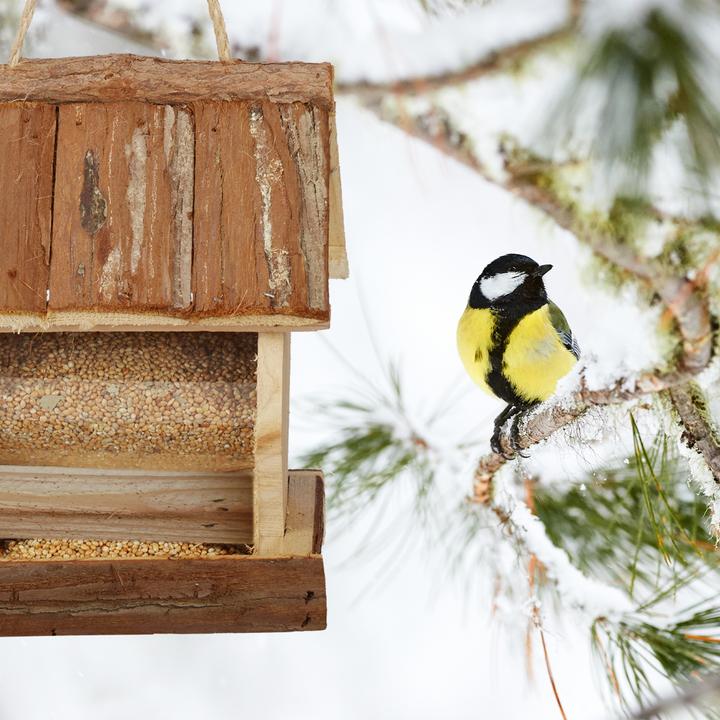 Actual product image Relaxdays Bird Feeder