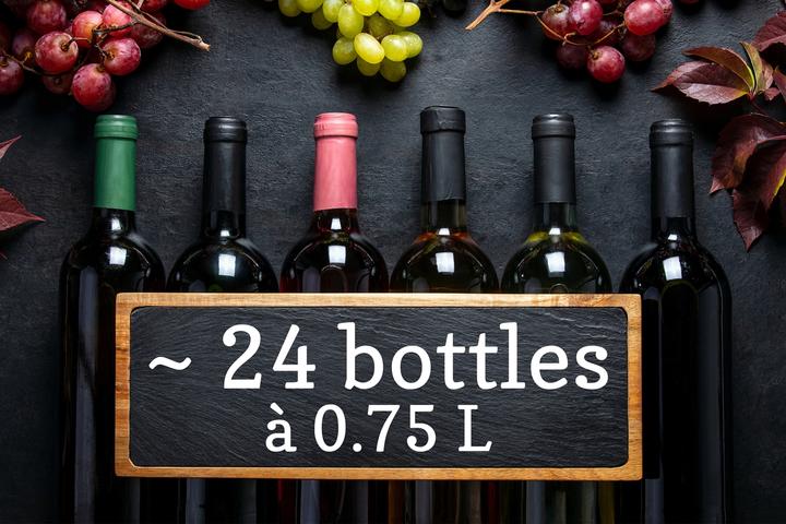 Immagine prodotto Trisa Cantina climatizzata per vino da incasso 51 L