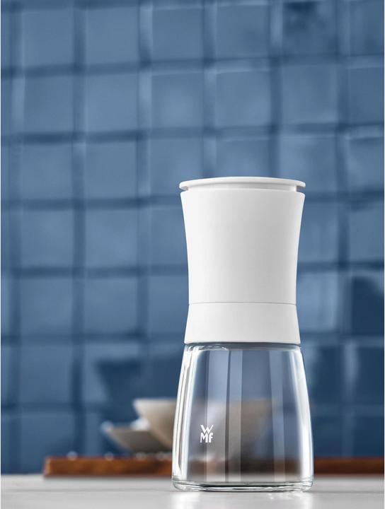 Actual product image WMF Trend (Pepper, Salt, Chili, Nutmeg)
